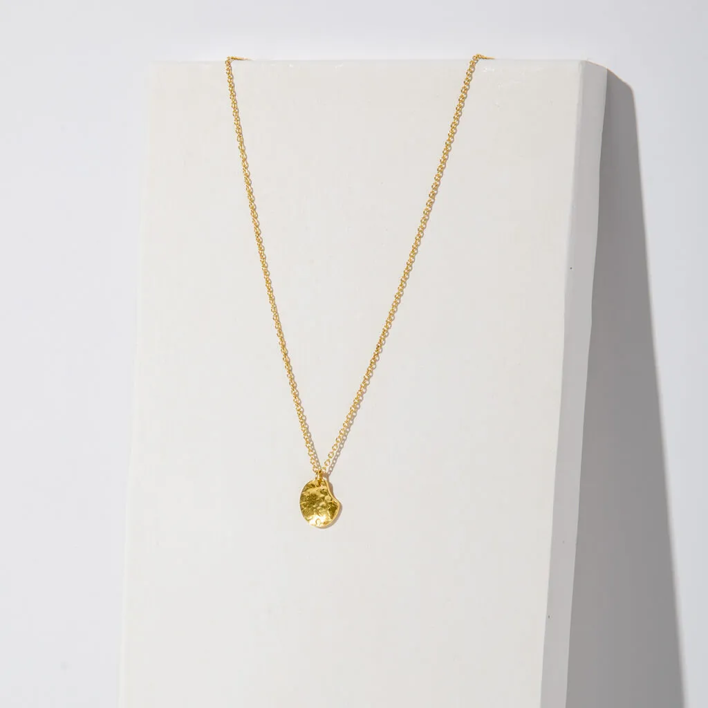 Tiny Palette Necklace - Hammered Brass