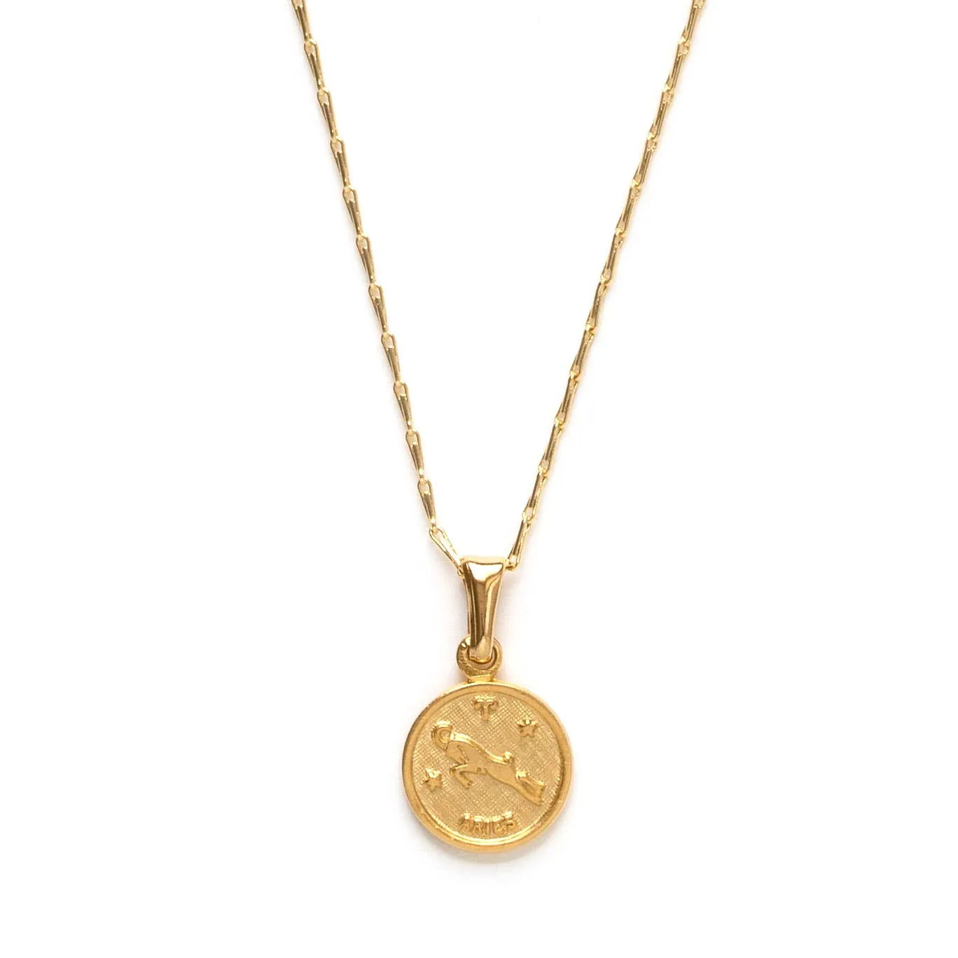 Tiny Zodiac Medallion Necklace